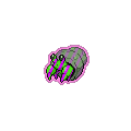Exotic Dwebble